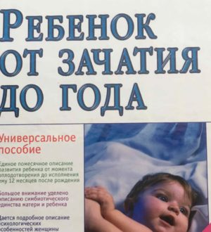 Историческая справка: авторское право Академии Материнства на материнские профессии